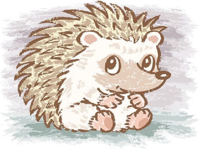 Hedgehog
